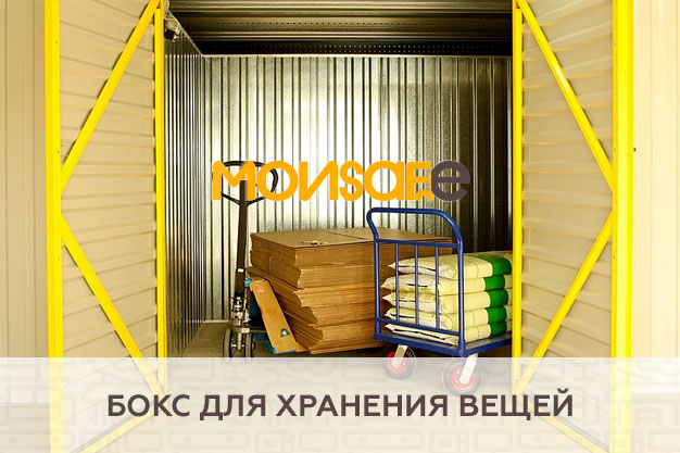 Бокс для хранения вещей