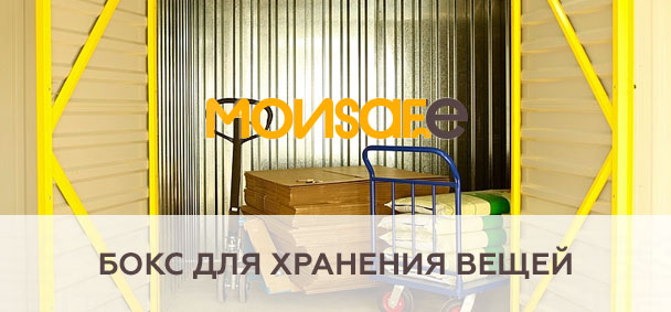 Бокс для хранения вещей